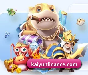 开云APP的核心发展理念与愿景（kaiyun）